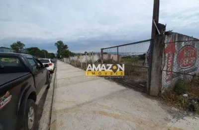 Área para alugar, 3000 m² por r$ 5.000,00/mês - são gonçalo - taubaté/sp