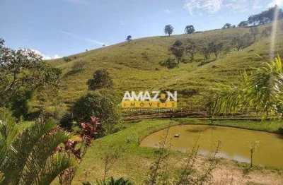 Terreno à venda, 31000 m² por r$ 420.000,00 - cunha - cunha/sp