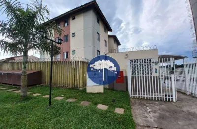Apartamento com 2 dormitórios à venda, 43 m² por r$ 185.000,00 - campina da barra - araucária/pr