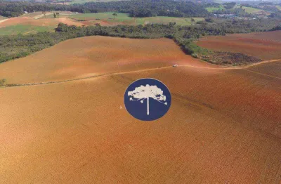 Excelente área rural para plantio - 12 alqueires - guajuvira araucária/pr.