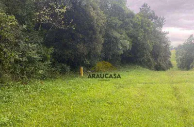 Área à venda, 54 m² por r$ 8.000.000,00 - campo de santana - curitiba/pr