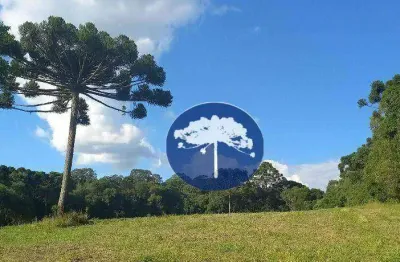 Chácara / sítio à venda na Zona Rural, Contenda 