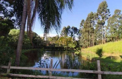 Chácara / sítio com 2 quartos à venda na Zona Rural, Contenda 