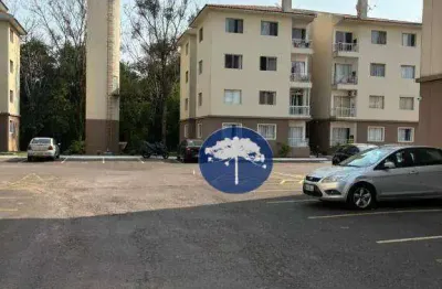 Apartamento com 3 dormitórios para alugar, 67 m² por r$ 2.300,00/mês - boqueirão - araucária/pr