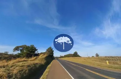 Chácara com 2 frentes na br 423 - em araucária, sentido campo largo