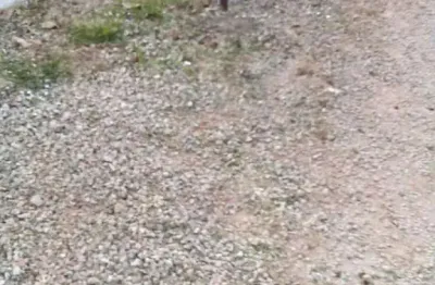 Fazenda com 6 dormitórios à venda, 1 m² por R$ 3.500.000,00 - Centro - Piedade/SP