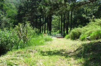Área à venda, 143000 m² por r$ 30.000.000,00 - cururuquara - santana de parnaíba/sp