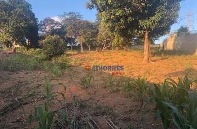 Terreno, 3800 m² - venda por r$ 2.500.000,00 ou aluguel por r$ 25.050,00/mês - jardim professor benoá - santana de parnaíba/sp