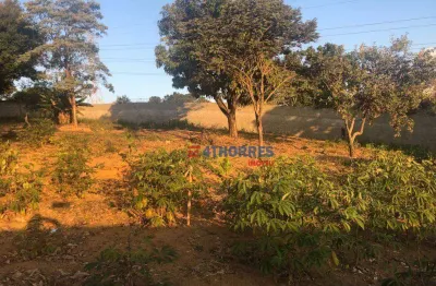 Terreno, 3800 m² - venda por r$ 2.500.000,00 ou aluguel por r$ 25.050,00/mês - jardim professor benoá - santana de parnaíba/sp