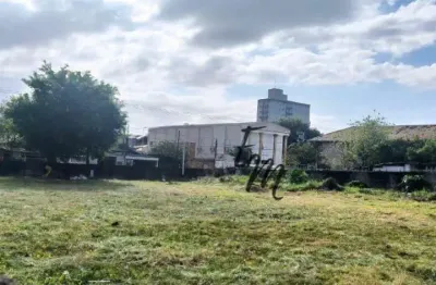 Terreno para alugar, 1500 m² por r$ 14.000,00/mês - tude bastos (sítio do campo) - praia grande/sp