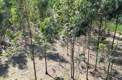 Terreno à venda no Ortizes, Piedade 