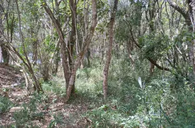 Terreno à venda na Ressaca, Ibiúna 