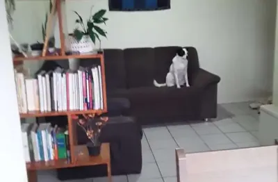 Apartamento com 2 quartos à venda no centro, ibiúna  por r$ 280.000