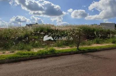 Terreno à venda, loteamento gozzi, vila becker, toledo - pr