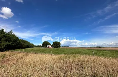 Chácara com excelente localização à venda, sao luiz do oeste, toledo - pr