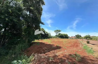 Terreno à venda no Centro, Toledo 
