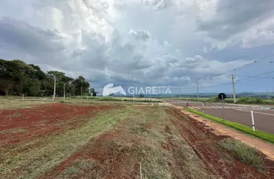 Terreno à venda, oportunidade única ,vila becker, toledo - pr
