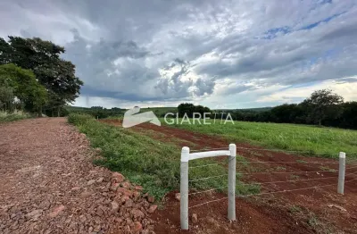 Chácara à venda, linha são francisco , ouro verde do oeste - pr