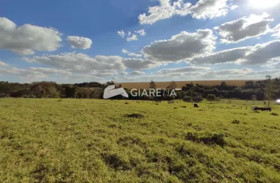 Chácara / sítio com 3 quartos à venda na Área Rural de Toledo, Toledo 