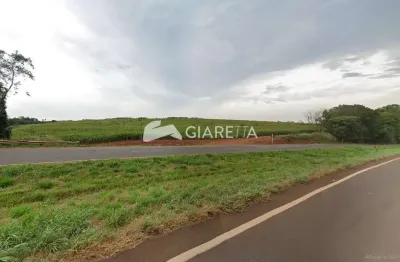 Área com localização estratégica, para barracões ou plantio, a venda na br 163 em toledo-pr