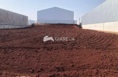 Terreno industrial com excelente custo à venda, biopark, toledo - pr