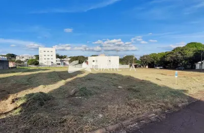 Terreno amplo com excelente metragem à venda, vila becker, toledo - pr
