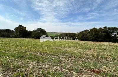 Chácara ampla à venda em ótima localização, ouro preto, toledo - pr