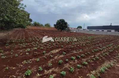 Terreno amplo à venda em ótima localização, bom princípio do oeste, toledo - pr
