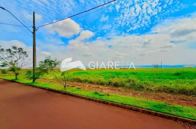 Terreno com excelente custo à venda, vila ipiranga, toledo - pr