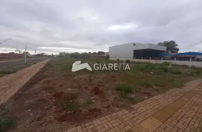 Terreno amplo à venda em região privilegiada da cidade, jardim gisela, toledo-pr