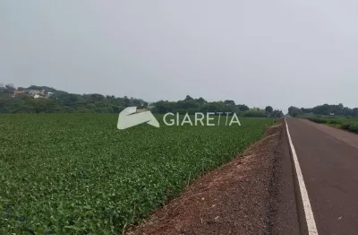 Área rural com excelente localização à venda, dois irmãos, toledo - pr