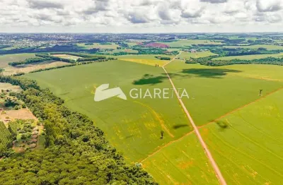 Área rural com 49.5 alqueires localizada na linha mandarina, toledo-pr