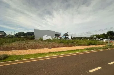 Terreno à venda em região privilegiada da cidade, jardim gisela, toledo - pr