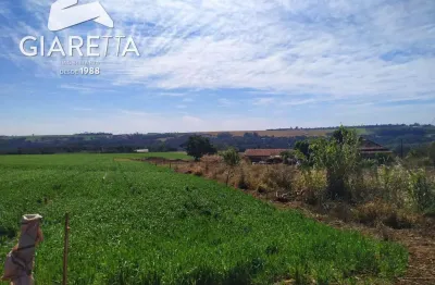 Chácara à venda,10000.00m , novo sobradinho, toledo - pr