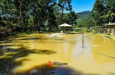 Fazenda à venda na Área Rural de Camboriú, Camboriú 