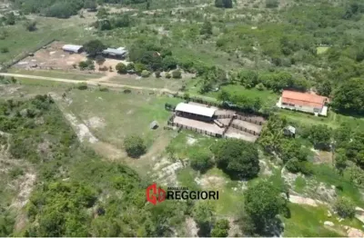 Fazenda à venda na Área Rural de Xinguara, Xinguara 