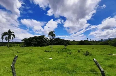 Amplo terreno à venda, 55.409 m² -  ótima localização - campeche - florianópolis/sc