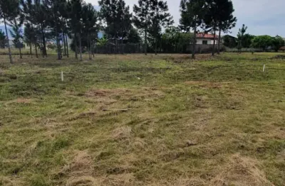 Terreno à venda na Rodovia Evádio Paulo Broering, 0, Passagem de Maciambú (Ens Brito), Palhoça