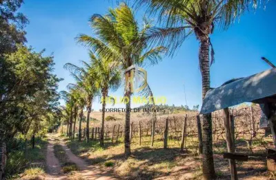 Sítio para venda em atibaia, bairro da usina, 4 dormitórios