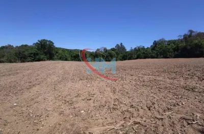 Chácara / sítio à venda no Pinhal, Jarinu 