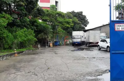 Excelente terreno com galpão localizado na vila maria baixa, 974 m² a.c, 1.250 m² terreno , frente: 43 m, zoneamento: zpi-1 ref- 13.376