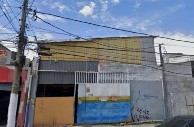 Excelente galpão na vila bertioga, 460 m² a.c., 335m² a.t., 25m de testada, copa, 2 banheiros, zona zc, 5 vagas (ref 18.117)
