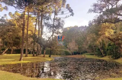 Excelente terreno em descansopolis, campos do jordão/sp, 32.000 m² de área, nas proximidades da hípica golf, com ótima topografia (ref 19.545)