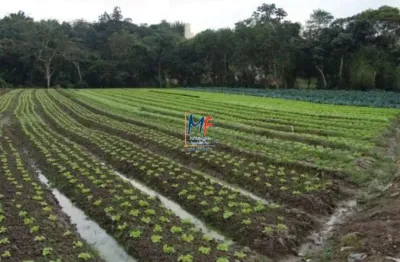 Excelente terreno  com 26.000 m2 , em rua asfaltada , zoneamento z1 . aceita proposta( permutas até 50 % ) . vale a pena conhecer ! ref 731