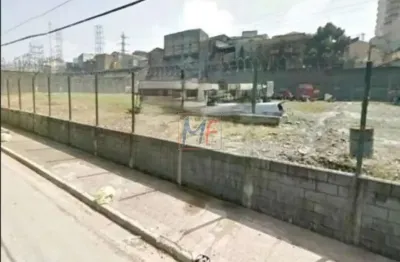 Excelente terreno para venda no  tatuapé, área 3.243 m²,  testada 79,59  metros, zoneamento zc . aceita pouca  permuta. já descontaminado. ref 10.736