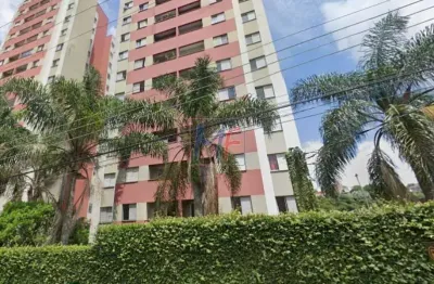 Ref: 15.554 lindo apto no jd santa terezinha (zona leste), com área útil 50 m²,  2 quartos, sala, cozinha, banheiro, área de serviço e lazer.