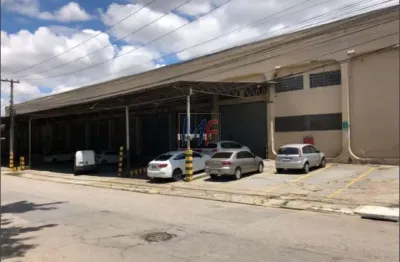 Galpão no jardim humaitá construído em terreno com  5.610 m² , e  5.271 m² a.c., , altura de 7m (pé direito) e 14 vagas. ref: 16.058