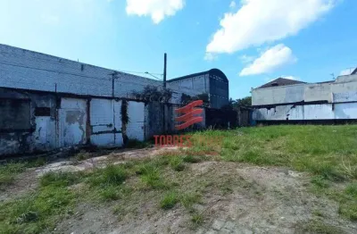 Terreno para alugar, 4000 m² por r$ 100.000,02/mês - vila matias - santos/sp