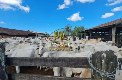 Fazenda à venda na Zona Rural, Araruama 