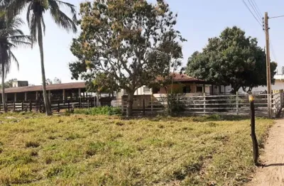 Fazenda à venda no Dores de Macabu, Campos dos Goytacazes 